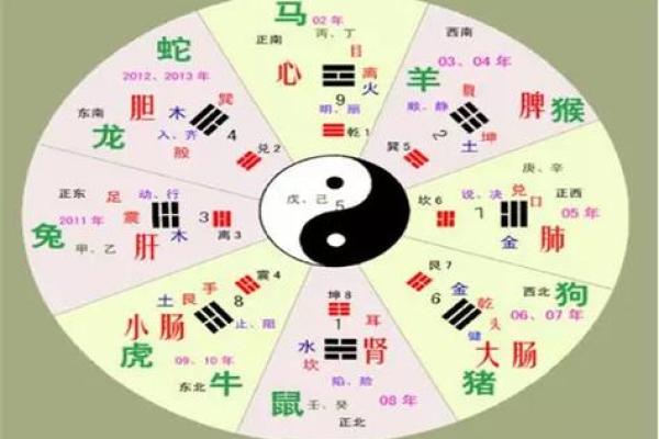 探秘命理：阳木命与阴木命的深刻剖析