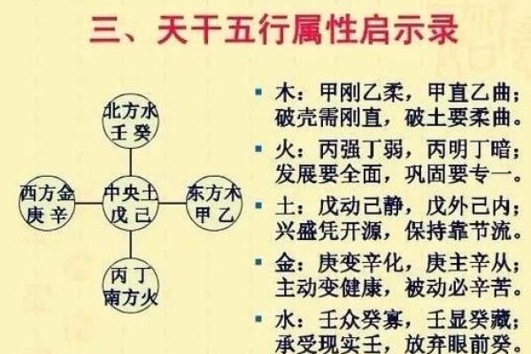 探秘阴木与阳命木：揭秘五行木命的神秘世界