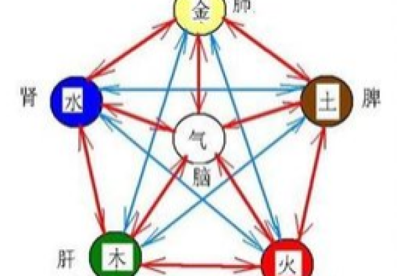 土命木命生肖解密：探索命理背后的神秘世界