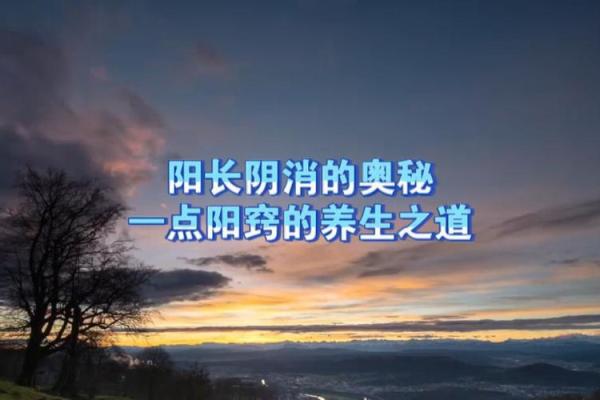 阳命与阴命：探寻命理中的神秘奥秘与人生指引