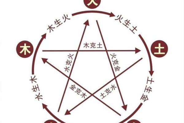 水猪命与哪些命相生相克，揭开命理之谜！