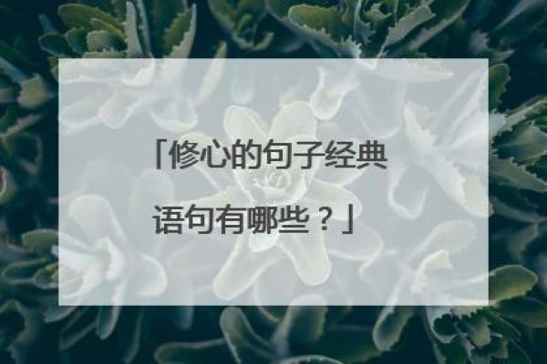 有其心无其命：探索人生的真谛与内心的和谐