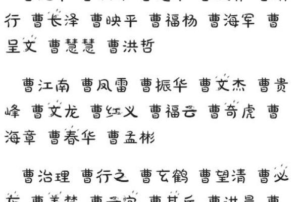 水虎命女孩的取名艺术：选择一个充满力量与柔美的名字