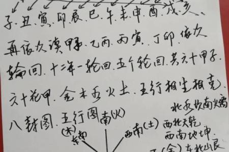 数易学5号人：探秘五行命理，揭示内心的真实自我！