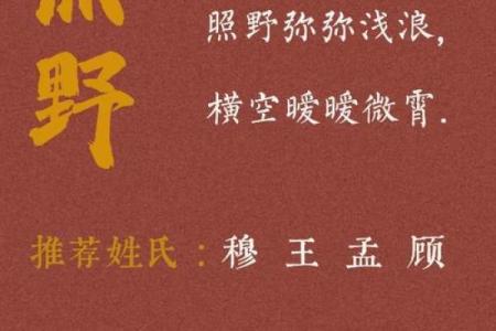 水虎命女孩的取名艺术：选择一个充满力量与柔美的名字