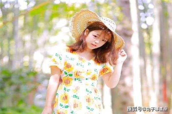 探寻木鸡命的奥秘：命理中的独特象征与启示