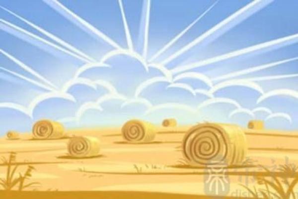 探秘土命：如何理解与发挥土命的独特魅力