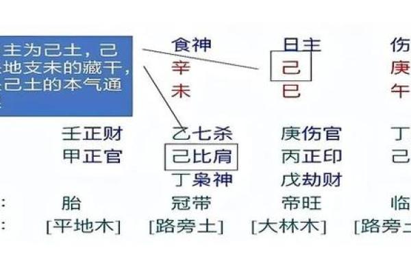 正官星女命的性格特点及其影响解析