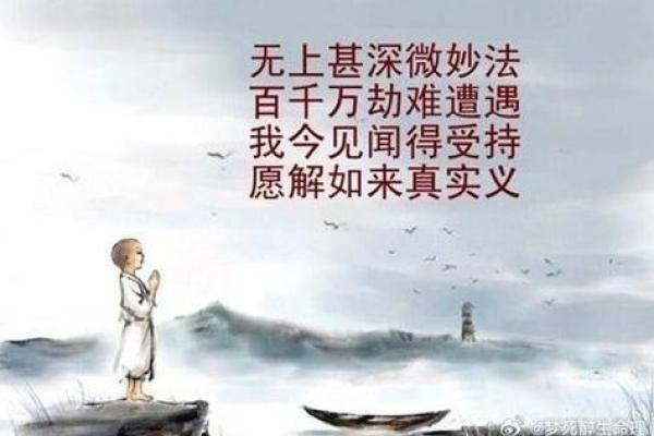 为什么好人的命这么短：探寻人生与善良的哲学