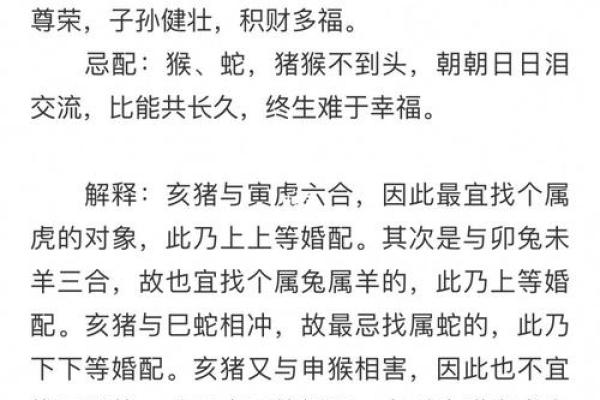 探索生肖与命运的奥秘：从年份看属相与人生路径的关系