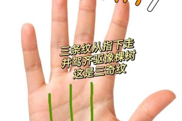 享福命格：揭示你幸福生活的奥秘与引导