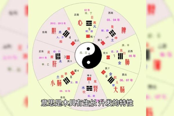 五行相生，命理解密：探秘你的命格与人生运势