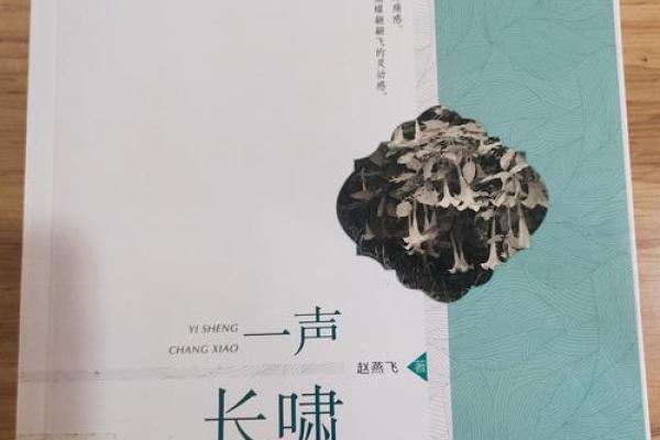 一辈子忙碌的命：在繁忙生活中寻找人生的意义与平衡