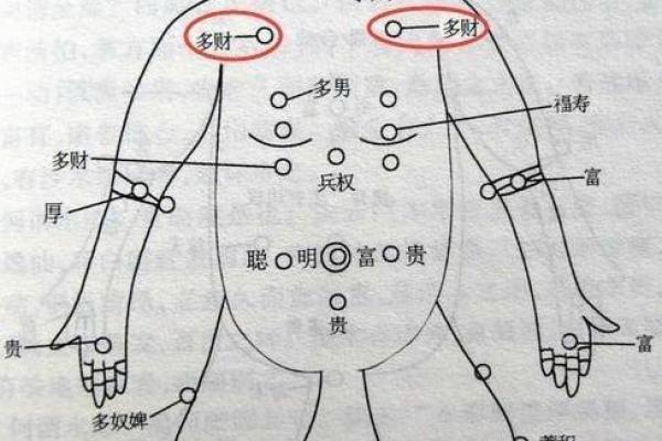 土命鼠与最佳婚配：探寻命理中的幸福之道