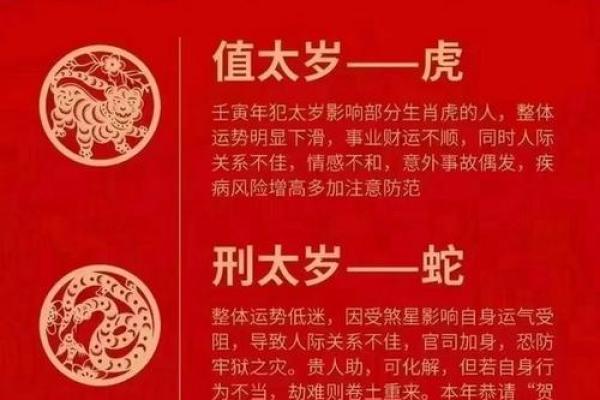 探秘石榴木命：命理中的生命智慧与个性解析