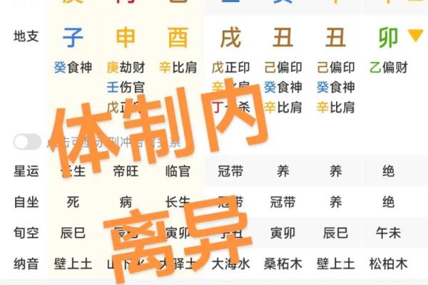 探索天命玄命八命：揭示人生奥秘的智慧