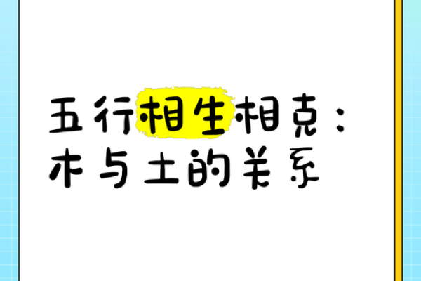 土命与属相的完美配对：解析最佳搭配与相生相克关系