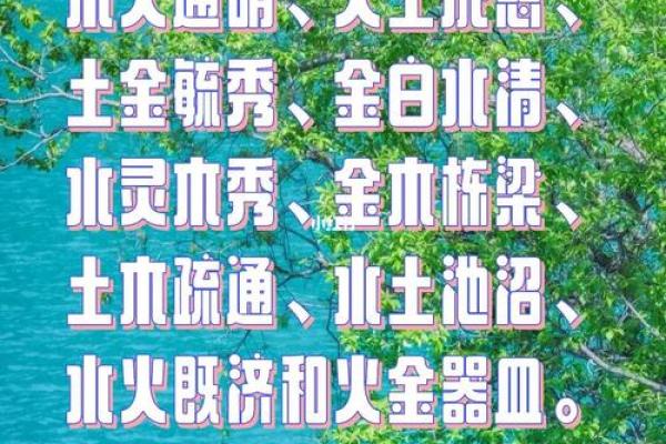 阴木命与阳木命：解读五行中的木之精髓