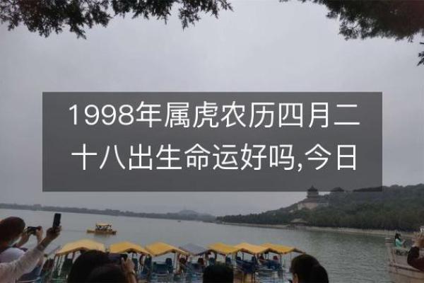 探秘沙中土命：克制何种木命的奥秘与启示