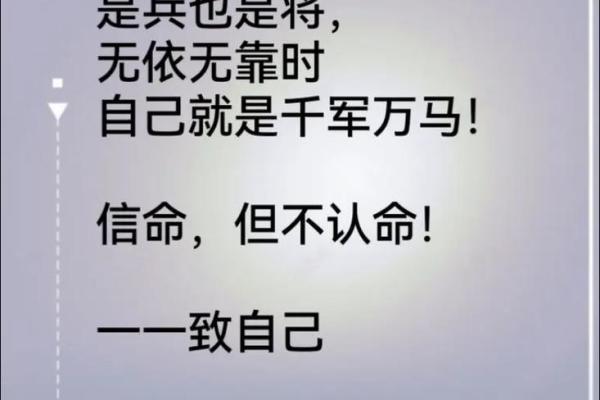 探寻人生的真谛：理解“人的命最大”背后的深意