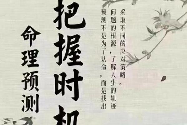 探寻命理深处：算命口中的“命好”究竟指的是什么？