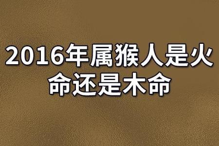 为木命开公司起名字的最佳选择，让企业蓬勃发展！