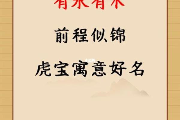 水命人的名字选择：如何为水命之人取合适的名字