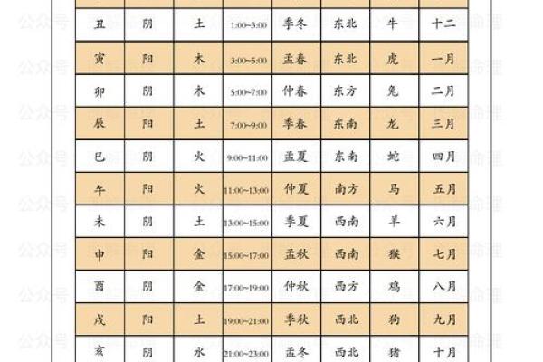阳火与阴火命的奇妙之处：解密天干地支背后的命理智慧