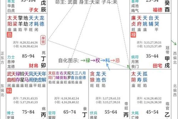 紫微命盘解析：揭示多妻命的奥秘与生活智慧