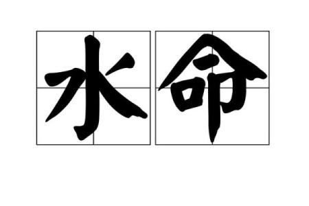 水命与其他命理的最佳搭配，揭秘相配之道！