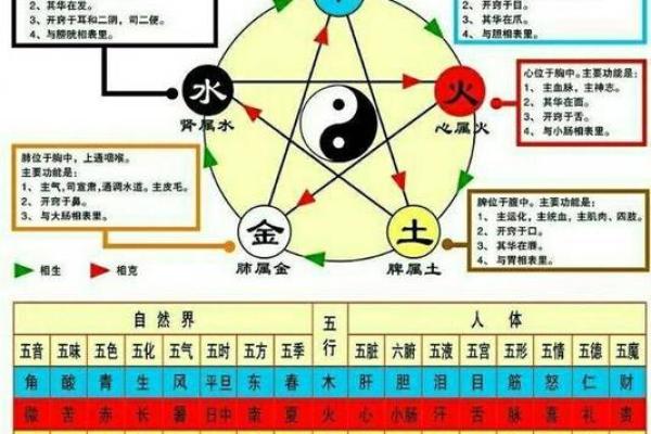 五行之中老虎的命格解析：揭示性格与命运的神秘面纱