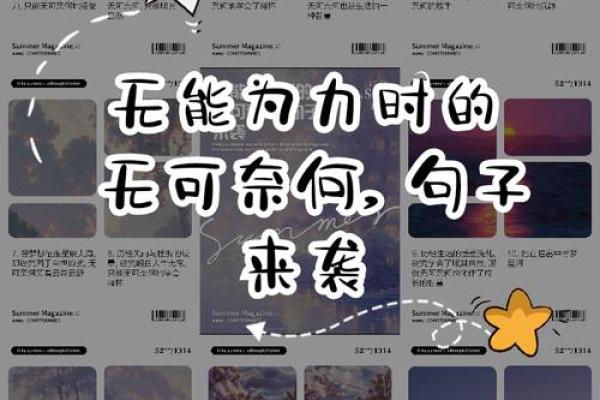 一生被人骗，命运的无奈与反思：你是否也曾经历过？