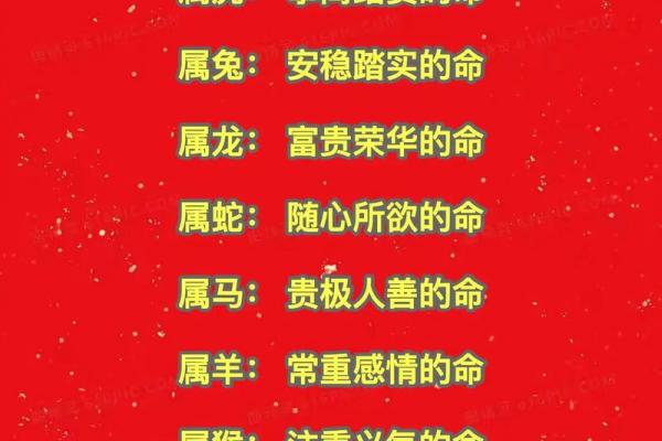 探秘十二月出生者的命运：性格与运势的深度解析