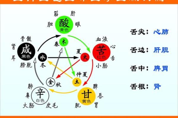 探索生命之源：太阳与树木在命理中的五行归属