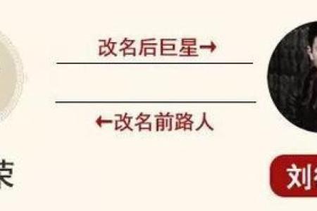 为什么有的人只有一胎的命？探索背后的原因与意义