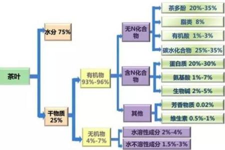 唯他命的学名及其惊人的保健功效解析