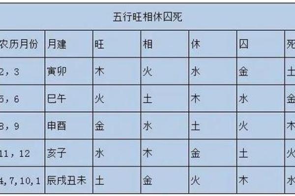 探寻申子辰仙命的深厚内涵与现实影响