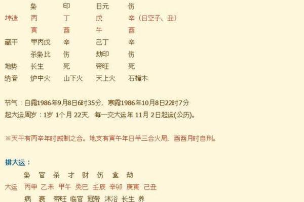 辛弃疾的八字命格与他的文学成就之关联