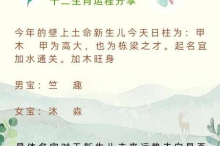 探究命运与生肖的奥秘：你所不知道的生肖之谜