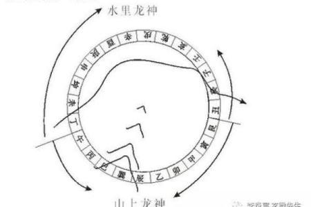 水多命的特点与补救方案：如何调和阴阳，促进健康