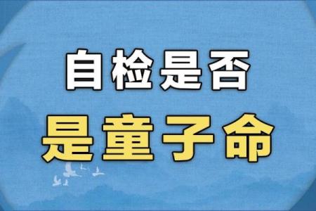 童子命为何爱上病痛？揭开命运与情感的神秘面纱