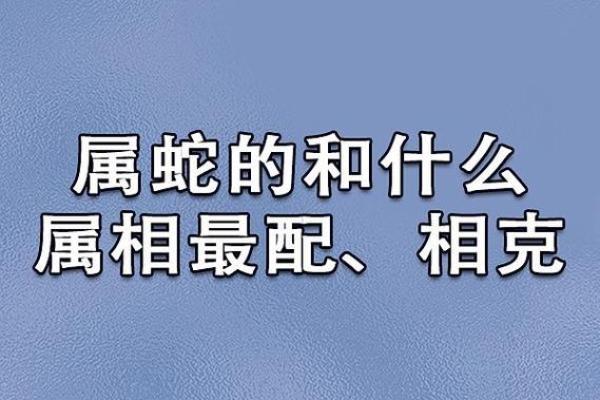 探索属蛇之人的命运：11月15日出生的奥秘与智慧