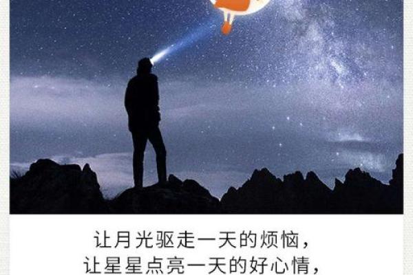 戊午年命局解析：破解命理之奥秘，掌握人生轨迹