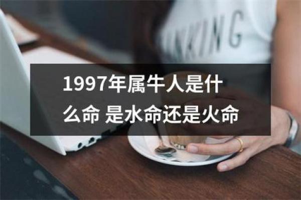 探秘四土两水两火命：命理的真谛与人生的指引