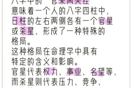 探究主命与助命：命理学中的奥秘与智慧