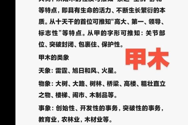 探寻五行中的火：缺少的字与命理智慧的结合