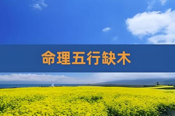 探寻五行中的火：缺少的字与命理智慧的结合