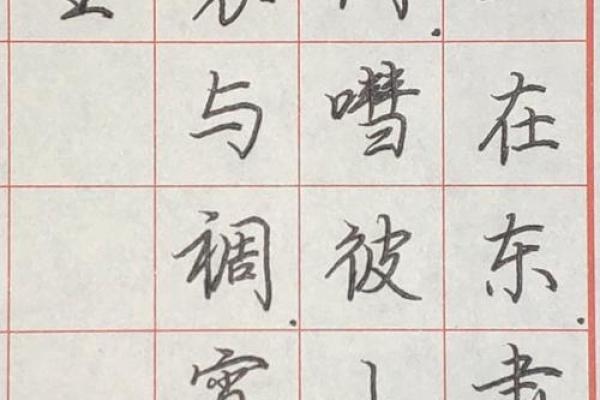 探寻《诗经》中的“寔命不犹”——珍视命运与自我价值的思考