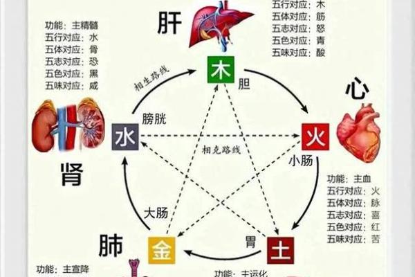 五行与命理的奥秘：相互关系与独特魅力探讨