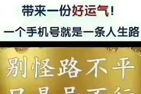 探秘只怕金鸡不畏蛇的独特命格与人生意义